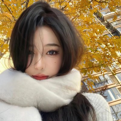 崔弟的高飞冒险